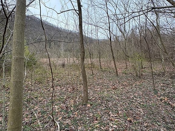 3rd image of 120 River Way Rd