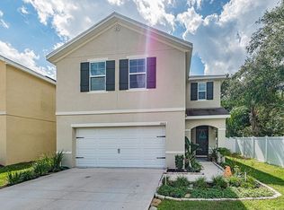 10103 Hawk Storm Ave, Tampa, FL 33610