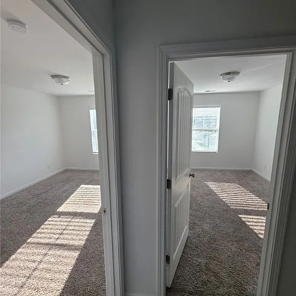 46 Marsh Salt Ln — Photo 11