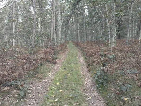 E Koenig Rd, Free Soil, MI 49411