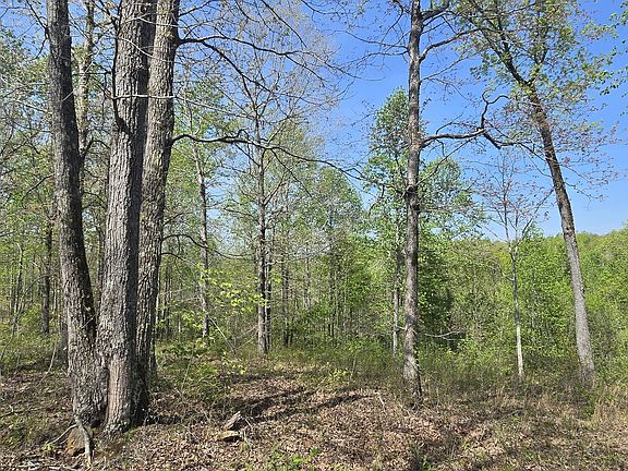 5th image of 360 James Zimmerman Rd