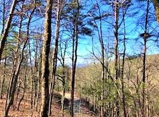 308L Brushy Top Rd, Ellijay, GA 30540