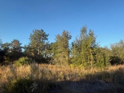 Magnolia Dr Lot 6, Ocklawaha, FL, 32179