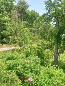 0 Route 119, Sullivan, NH, 03445