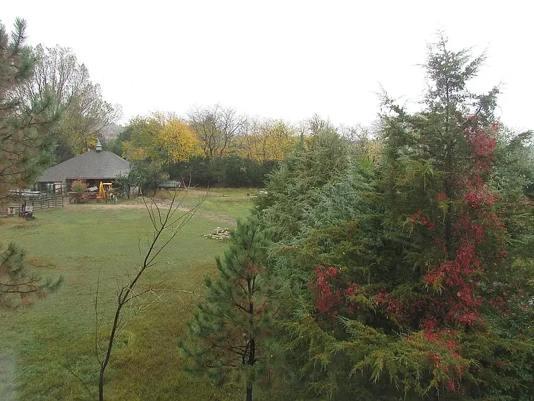 3200 Azalea Dr #M6 — Photo 4