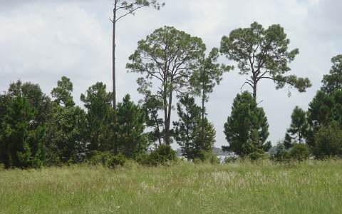 4th image of 3033 Jack Creek Dr