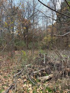 (Undisclosed Address), Mountain View, AR, 72560
