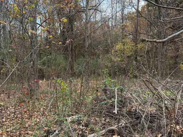 (undisclosed Address), Mountain View, AR 72560