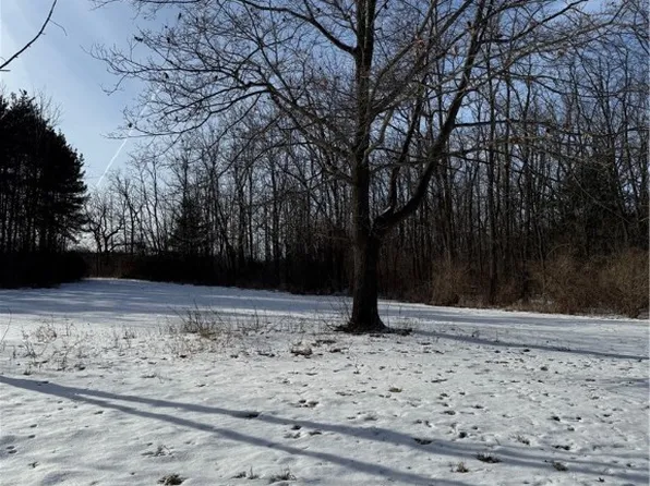 1600 Ellis Rd, Dundee, NY 14837