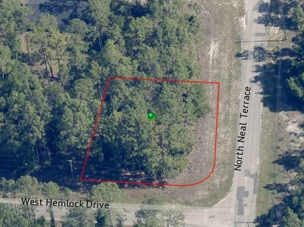 805 W Hemlock Dr, Citrus Springs, FL 34434