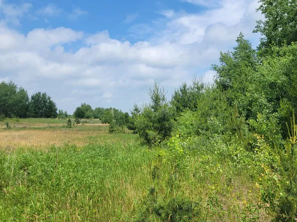 Linberg Rd, Deerwood, MN 56444