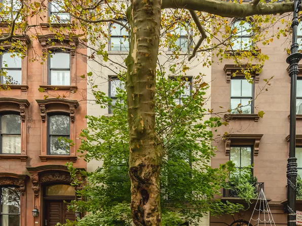 102 Pierrepont Street image 9 of 42