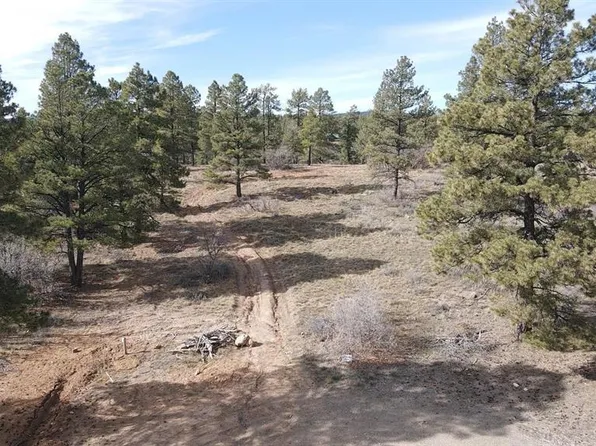 111 Tower, Pagosa Springs, CO 81147