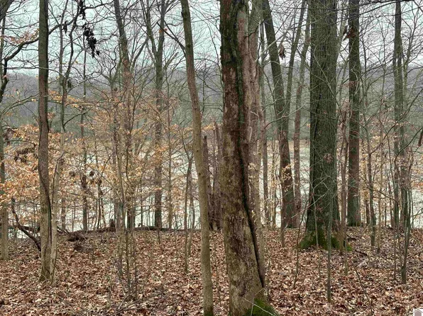 25 E Beechwood Rd, Eddyville, KY 42038