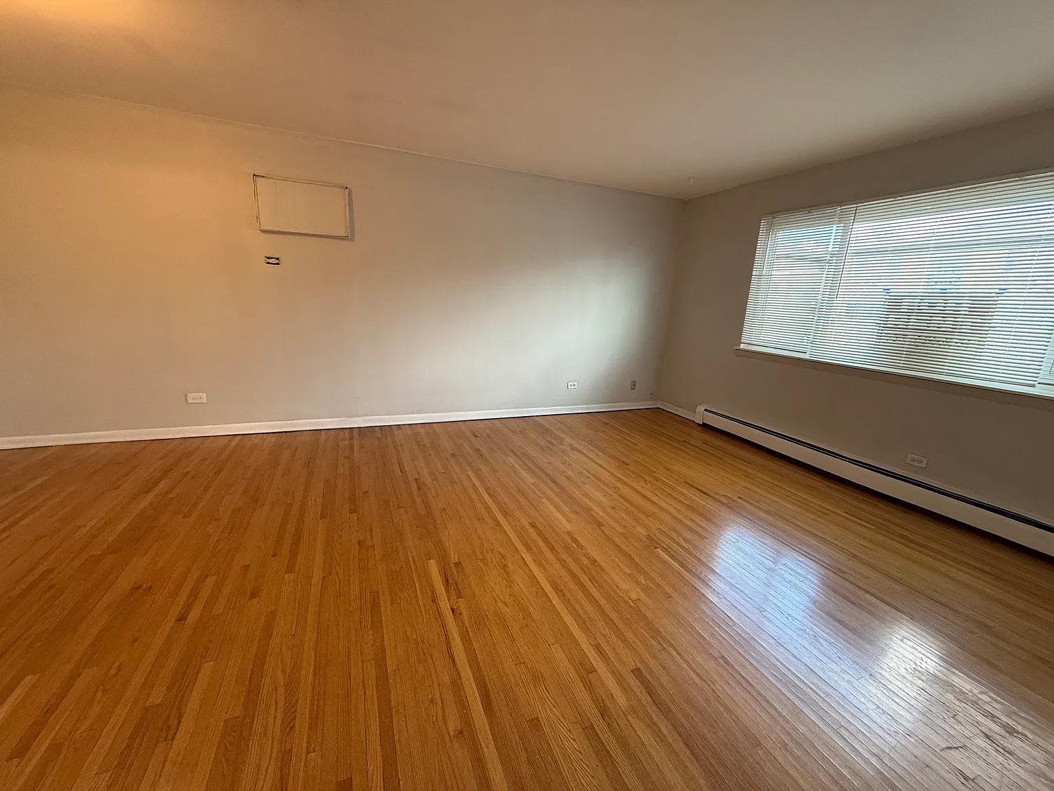 1 bed, 800 sqft, $1,295 — Photo 2