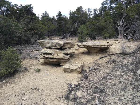 15 Twin Peaks Rd, Ramah, NM 87321