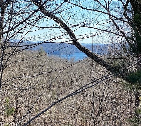 3rd image of 439 Buck Creek Rd