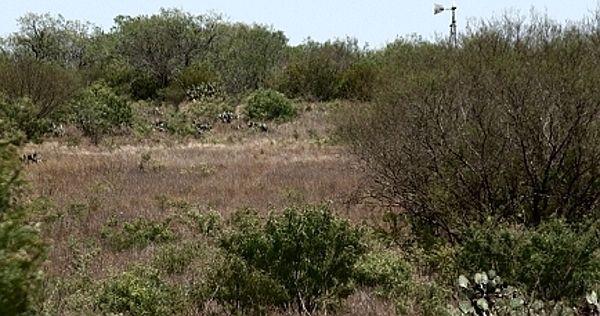 1st image of County Road 103