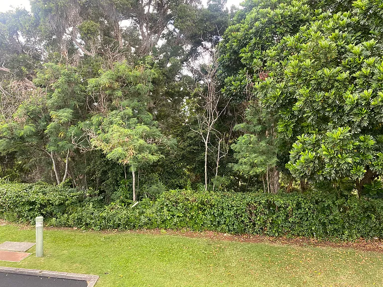 98-1702 Kaahumanu St #6D — Photo 14