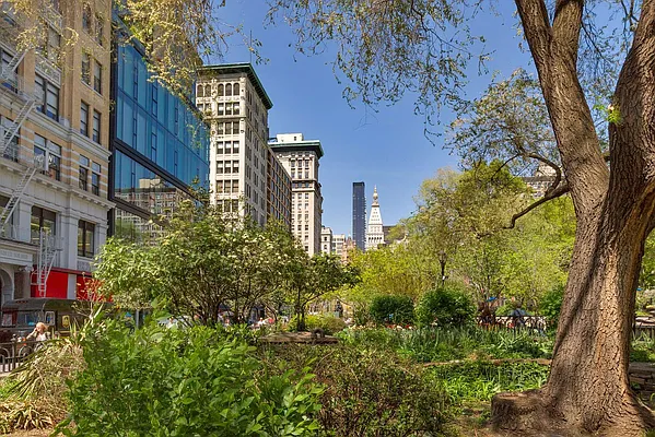 Sold by Cooper & Cooper Real Estate | media 19