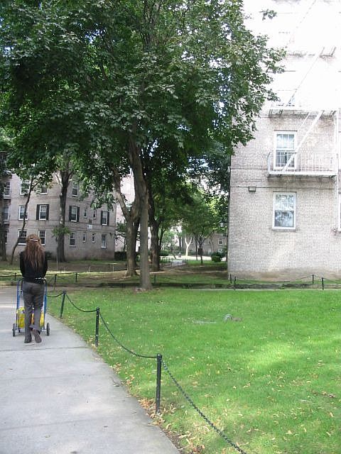 our building