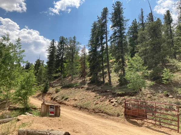 1744 Clark Rd, Bailey, CO 80421