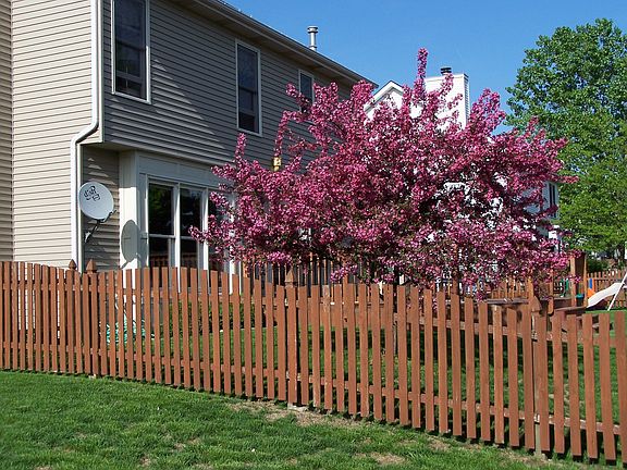Fenced rear yard