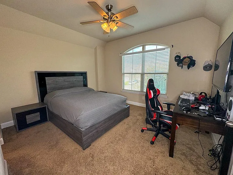 809 Alpino — Photo 13