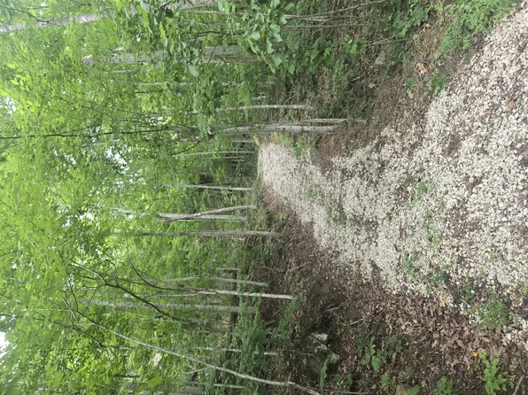 9999 Getaways Rd Lot 3, Stanton, KY 40380