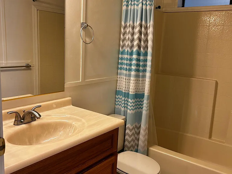 Guest bathroom