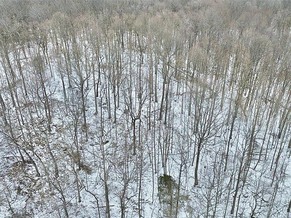 4th image of 47A Louisville Rd