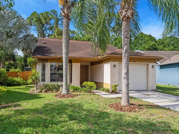 8601 Twin Farms Pl, Tampa, FL 33635
