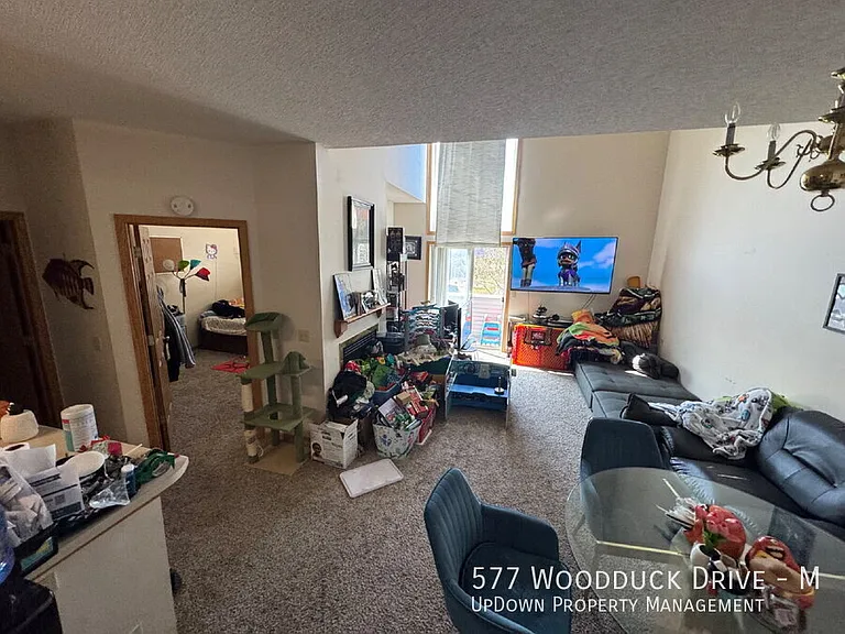 577 Woodduck Dr #M — Photo 7