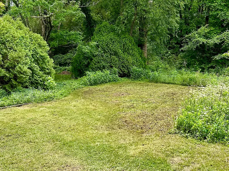 Large back yard used by prior occupants for a garden. Huge tulip poplar at the back. Creek.
