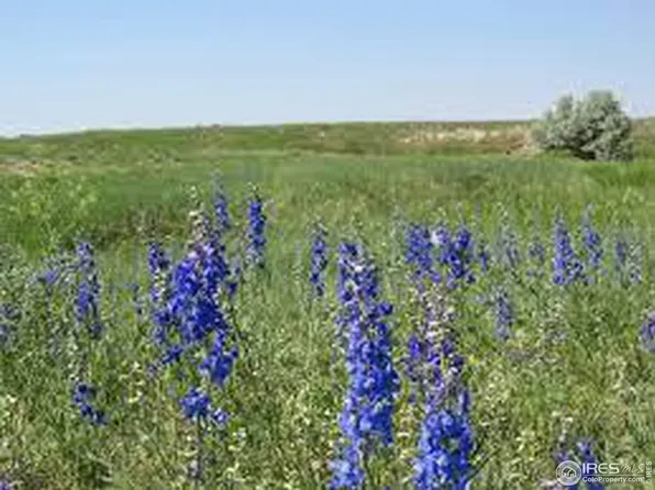 0 Lot 5 County Road 102, Nunn, CO 80648