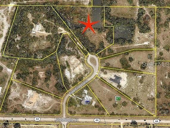 3rd image of TREE FROG LOT 6 LANE LOT 6