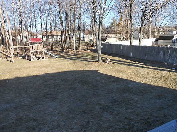 Back Yard 1