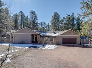 787 W Lovell Gulch Rd, Woodland Park, CO 80863