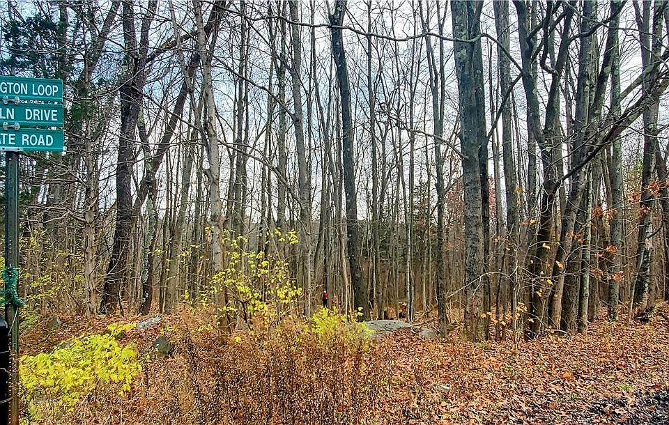 1st image of 156 Huckleberry Turnpike