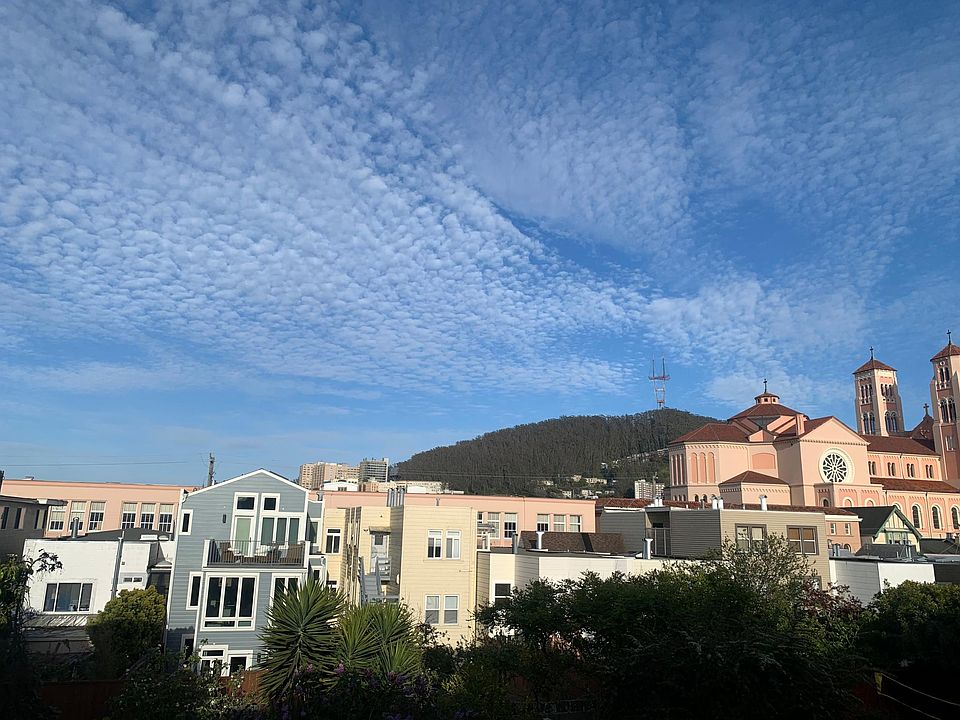 View from backyard