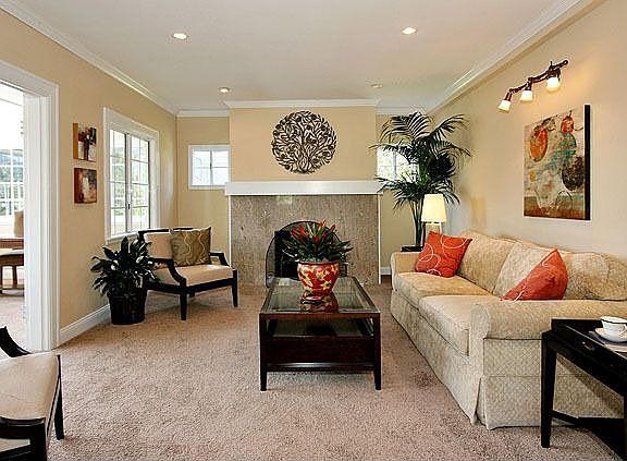 Living room with fireplace
