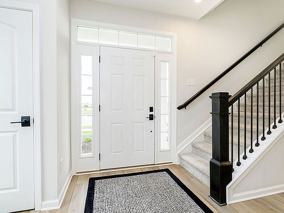 Frankton Home Design