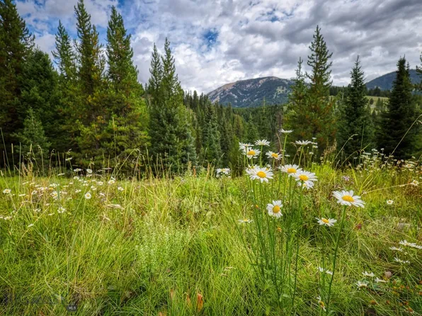 7 Autumn Trl, Big Sky, MT 59716