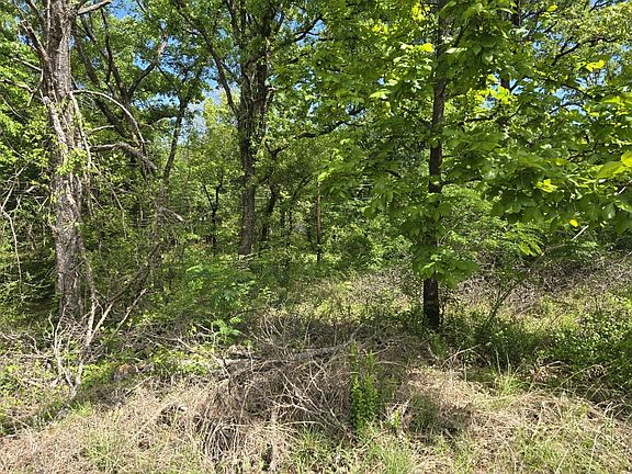 4th image of LOT 699 Shady Grove Rd