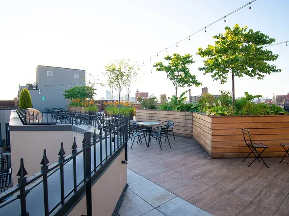 564 Saint John's Place image 9 of 17