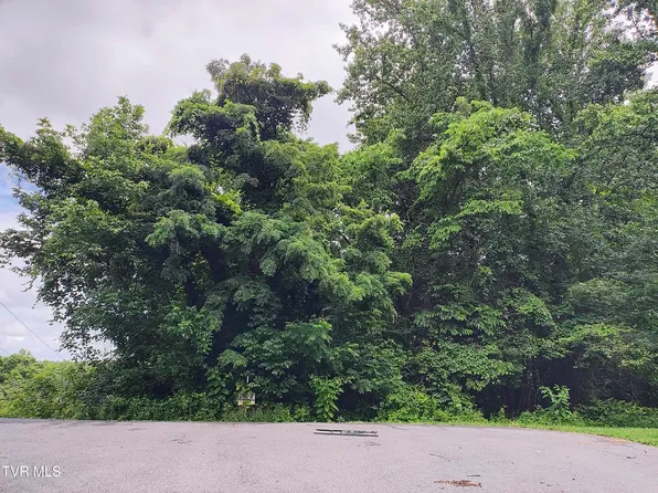 LOT 51 Raven Cir, Kingsport, TN 37664