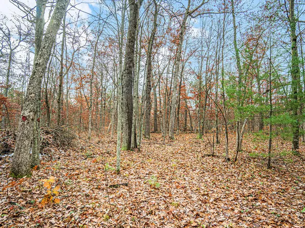 S 128th Ave, Rothbury, MI 49452