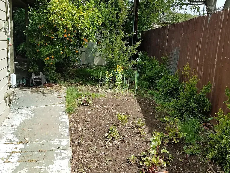 left side yard