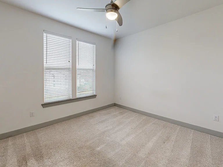 Palo Verde — Photo 108