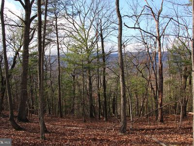 Supinlick Ridge Rd, Mount Jackson, VA, 22842